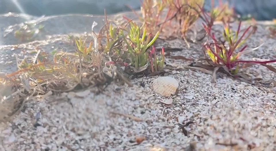 Доброе утро. Ну что ж, прощаемся с выходными — пора включаться в рабочий ритм! Подписывайтесь на "Мелитопольский район"