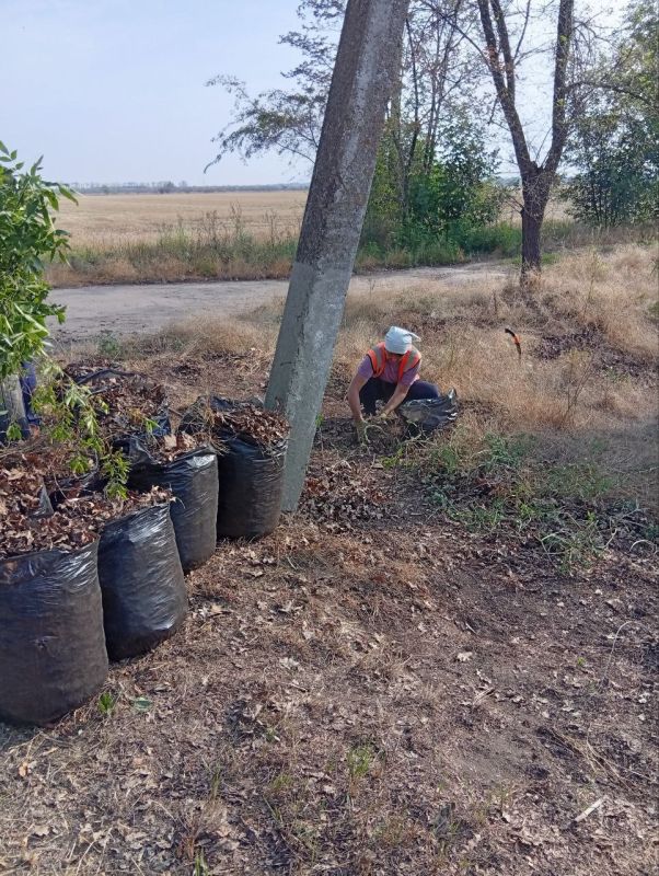 На территории Фруктовского территориального округа работники МУП «Жилсервис» проводят благоустройство в селе Долинское На территории Фруктовского территориального округа работники МУП «Жилсервис» проводят благоустройство в селе Долинское