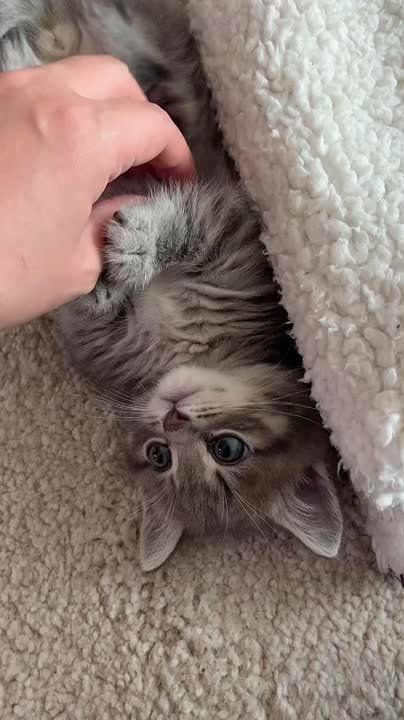 Доброго утра , дорогие Мелитопольцы!