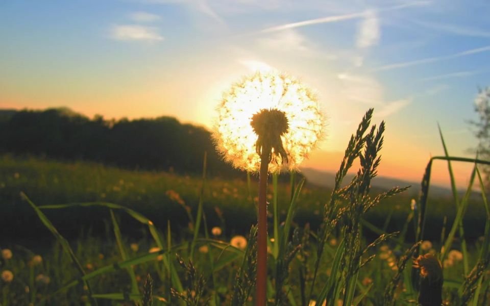 Доброе утро.... Рассвет начнется ровно в пять часов