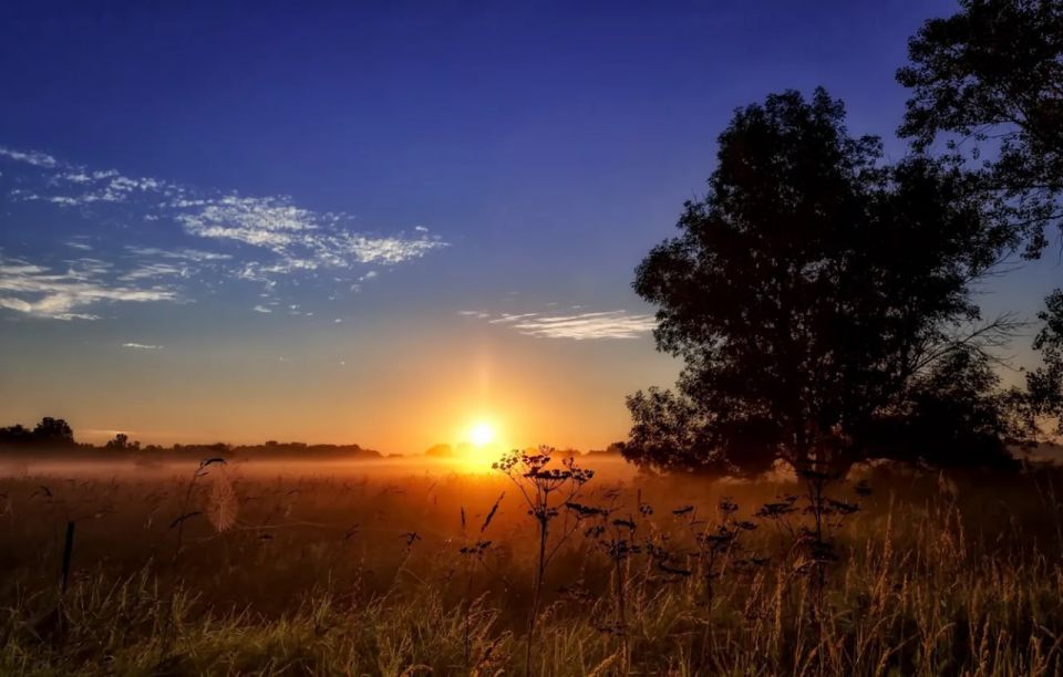 Доброе утро.... Рассвет начнется ровно в пять часов Доброе утро.... Рассвет начнется ровно в пять часов