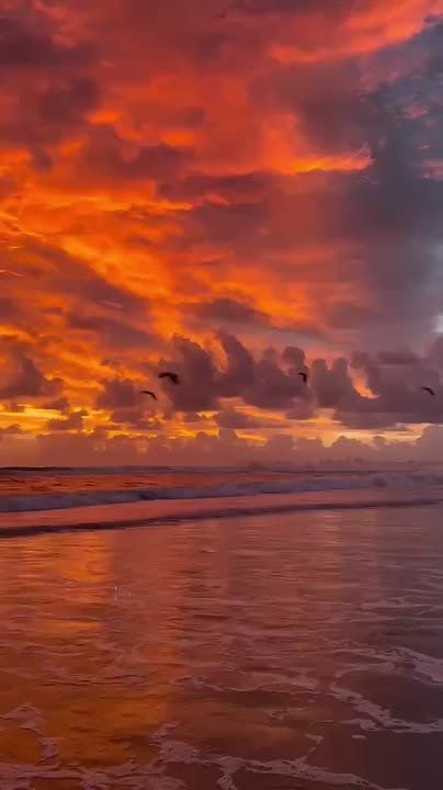 Новый Мелитопольподпишись