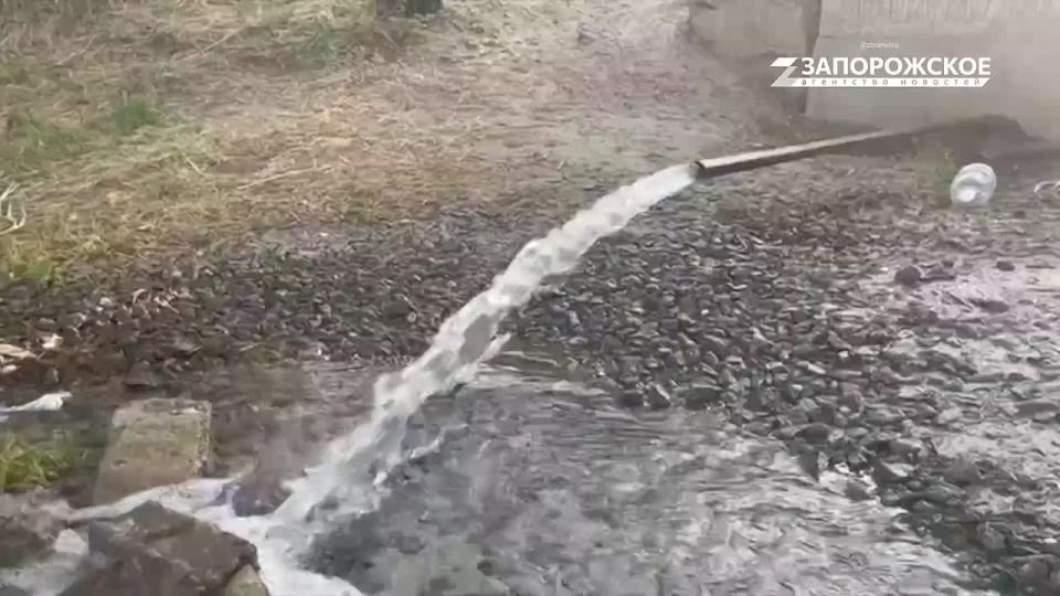 Вот это мы понимаем начало дня! Показываем вам душевное с озера Горячка в Мелитополе