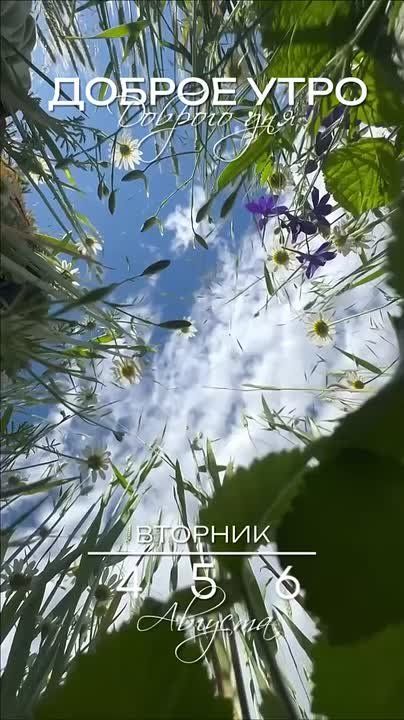 Доброго утра , дорогие Мелитопольцы!