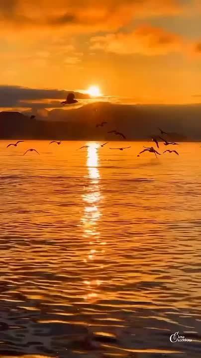 Новый Мелитопольподпишись