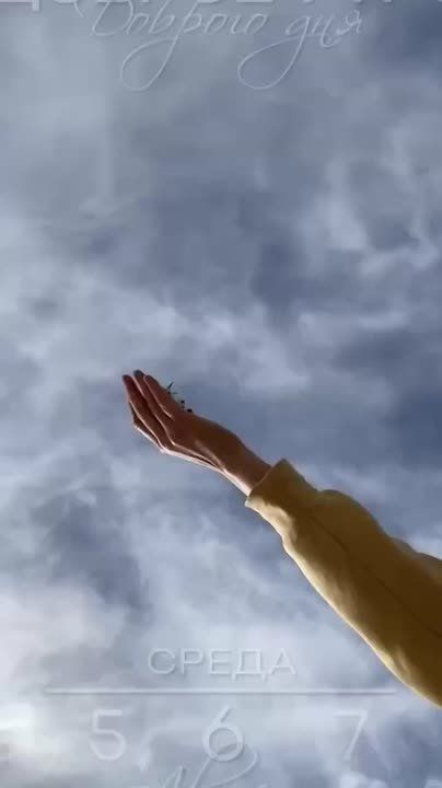 Доброго утра , дорогие Мелитопольцы!