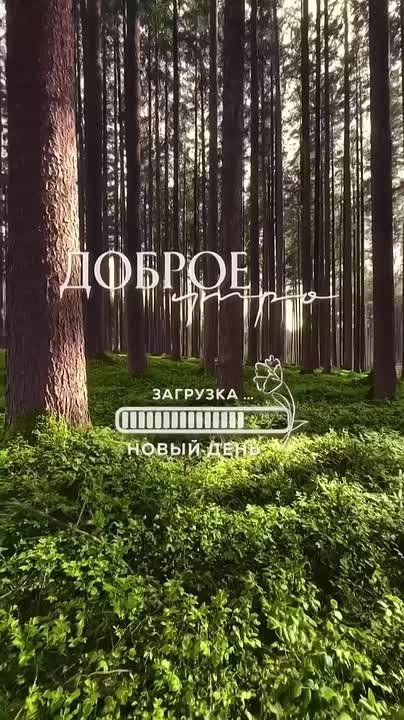 Доброго утра , дорогие Мелитопольцы!