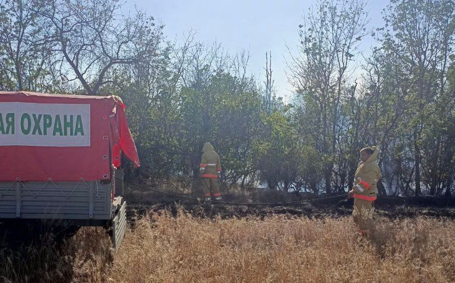 9 августа – Международный день защиты лесов от пожара