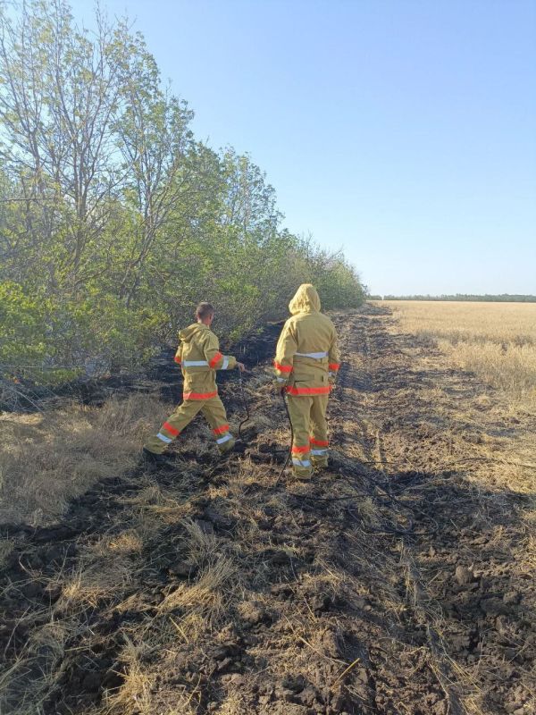 9 августа – Международный день защиты лесов от пожара 9 августа – Международный день защиты лесов от пожара