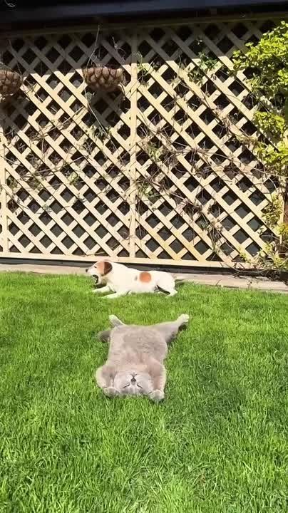 Доброго утра , дорогие Мелитопольцы!