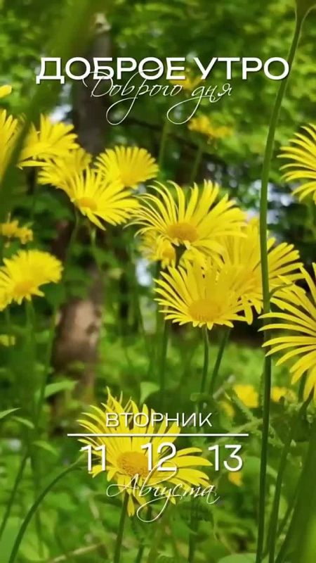 Доброго утра , дорогие Мелитопольцы!