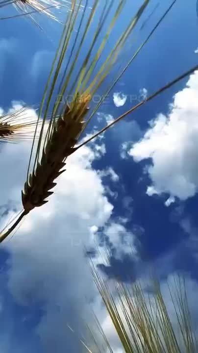 Доброго утра , дорогие Мелитопольцы!