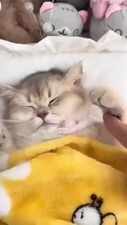 Доброе утро. Понедельник — это чистый лист, на котором можно написать новые цели, планы и маленькие радости