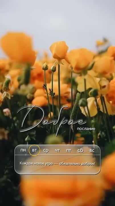 Доброго утра , дорогие Мелитопольцы!