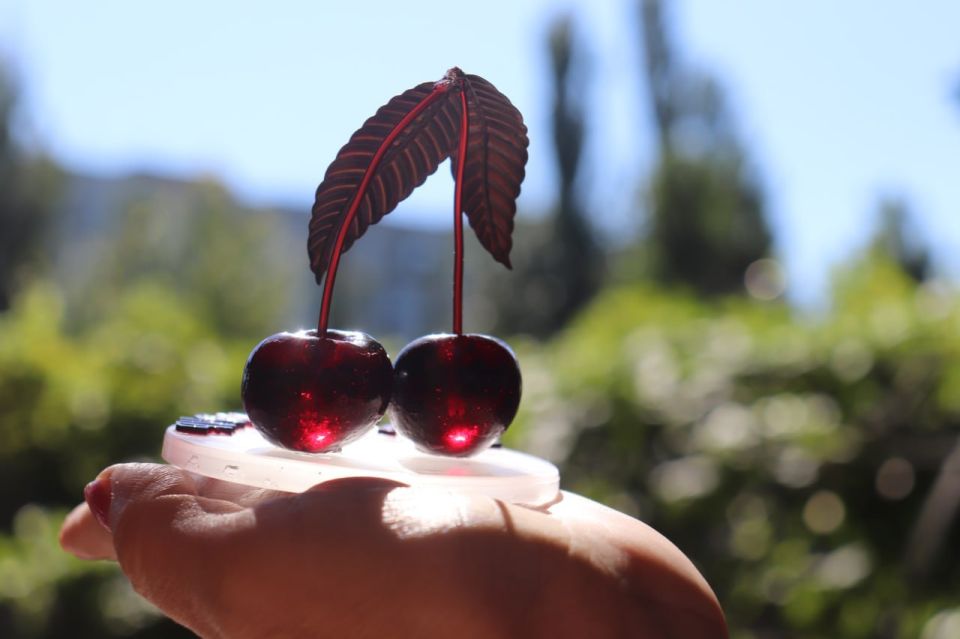 В Мелитополе к Яблочному Спасу устроили выставку сувениров В Мелитополе к Яблочному Спасу устроили выставку сувениров