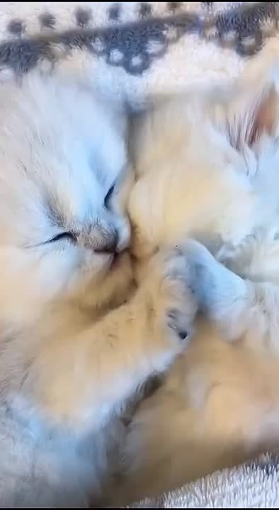 Доброго утра , дорогие Мелитопольцы!