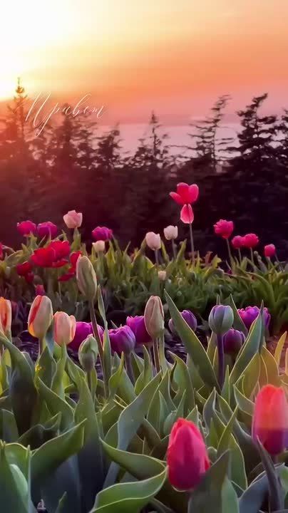 Доброго утра , дорогие Мелитопольцы!