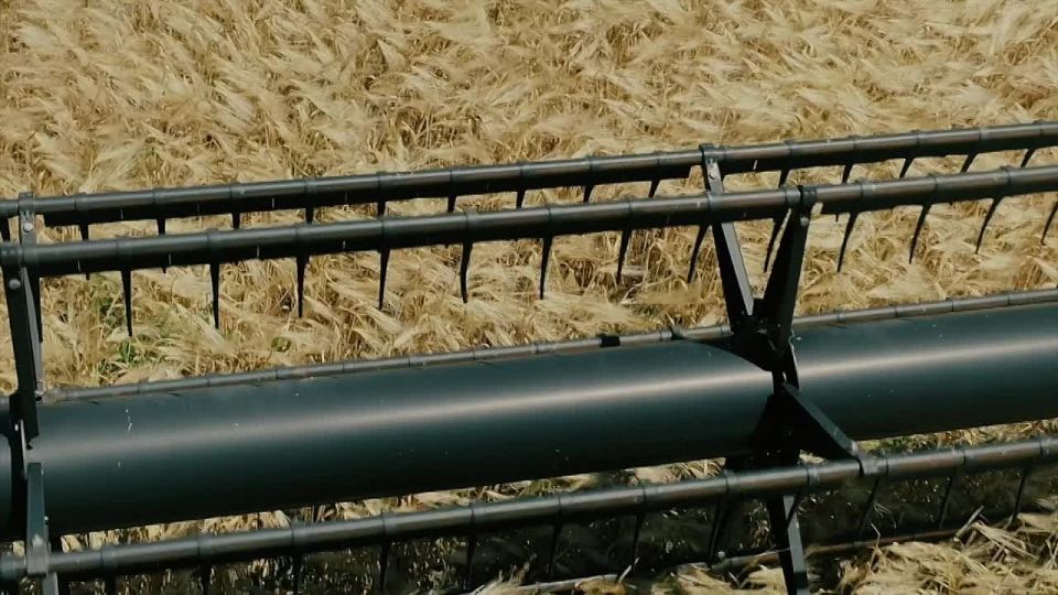 Андрей Сигута: Дорогие жители Запорожской области!