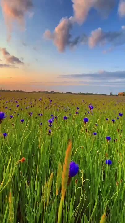 Доброе утро! Есть простые радости, которые делают жизнь счастливее: увлекательная книга, прогулка на свежем воздухе, крепкие объятия и верный друг рядом