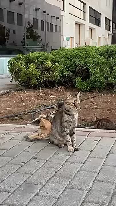 Понедельник - отличный повод начать что-то новое!