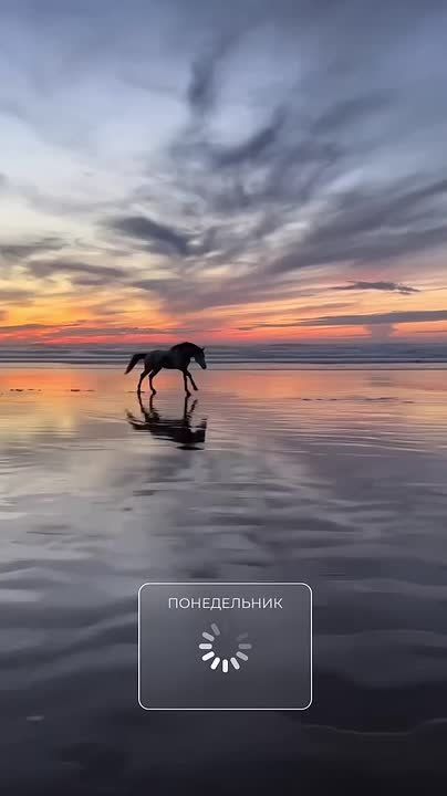 Доброго утра , дорогие Мелитопольцы!