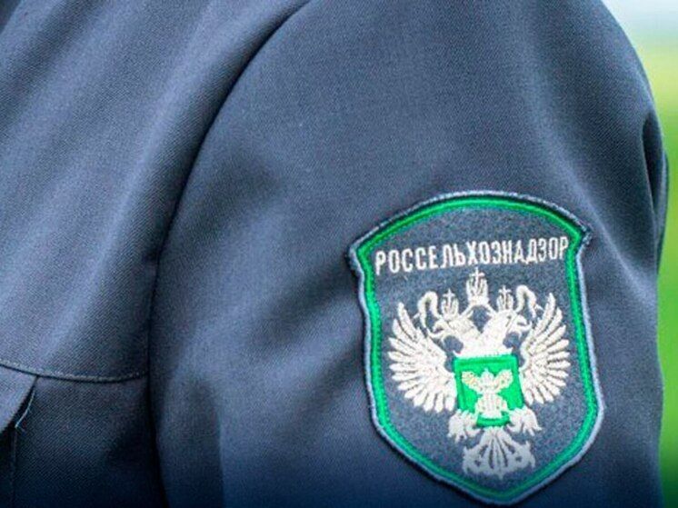 В Запорожской области завершили апробацию 140 гектаров посевов подсолнечника