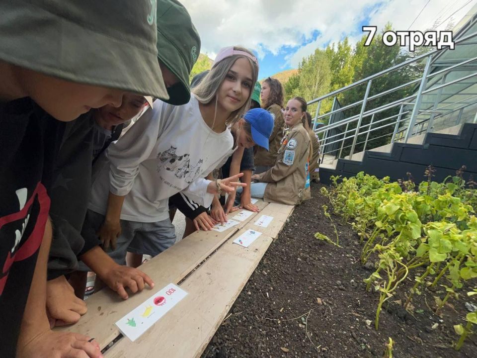 Дети из Мелитопольского МО покорили пещеры и постигли азы финансовой грамотности Дети из Мелитопольского МО покорили пещеры и постигли азы финансовой грамотности