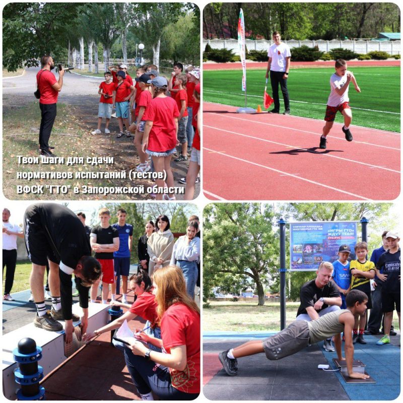 Региональный оператор ВФСК "ГТО" в Запорожской области (ГБУ ЗО "СК "Южный") предоставляет алгоритм действий для допуска к сдаче нормативов испытаний (тестов) ВФСК "ГТО" в Запорожской области Региональный оператор ВФСК "ГТО" в Запорожской области (ГБУ ЗО "СК "Южный") предоставляет алгоритм действий для допуска к сдаче нормативов испытаний (тестов) ВФСК "ГТО" в Запорожской области