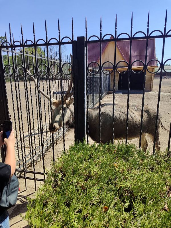 Команды запорожского и херсонского филиалов фонда «Защитники Отечества» продолжают дружить домами Команды запорожского и херсонского филиалов фонда «Защитники Отечества» продолжают дружить домами