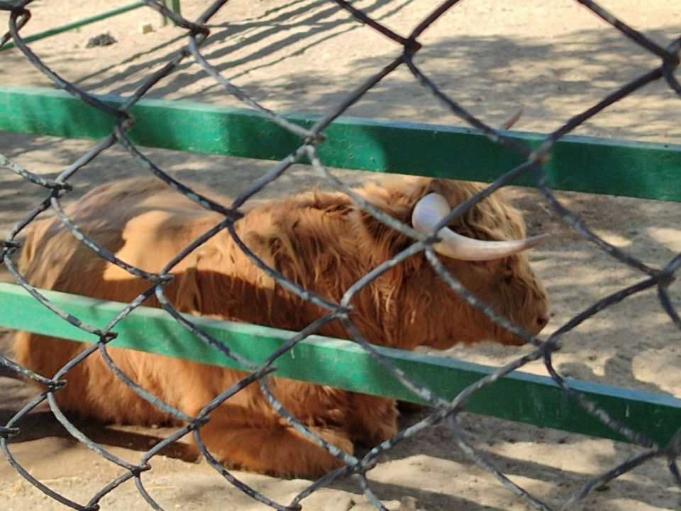 Команды запорожского и херсонского филиалов фонда «Защитники Отечества» продолжают дружить домами Команды запорожского и херсонского филиалов фонда «Защитники Отечества» продолжают дружить домами