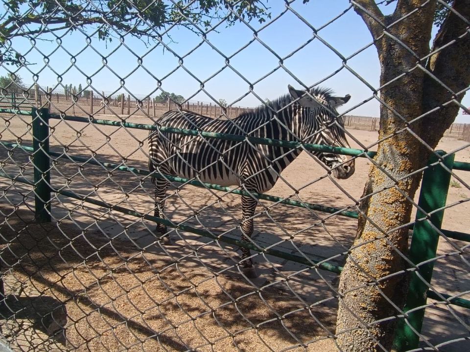 Команды запорожского и херсонского филиалов фонда «Защитники Отечества» продолжают дружить домами Команды запорожского и херсонского филиалов фонда «Защитники Отечества» продолжают дружить домами
