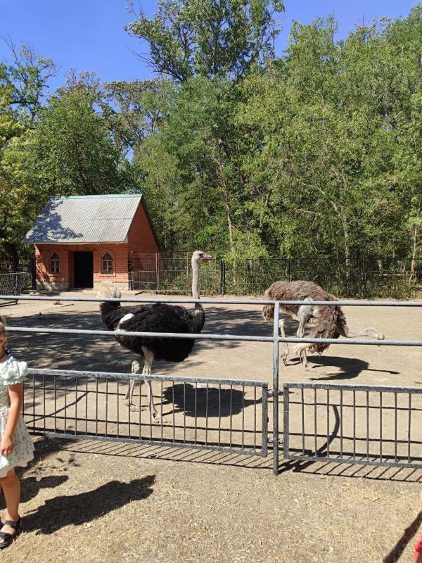 Команды запорожского и херсонского филиалов фонда «Защитники Отечества» продолжают дружить домами Команды запорожского и херсонского филиалов фонда «Защитники Отечества» продолжают дружить домами