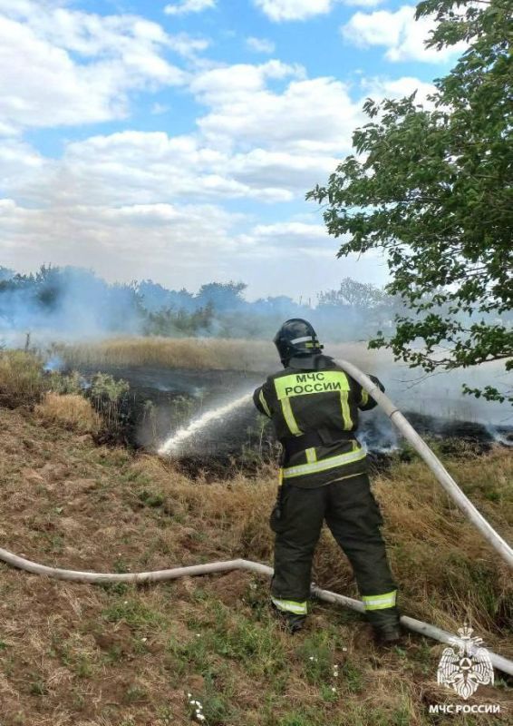 287 пожаров потушили в Запорожской области за неделю