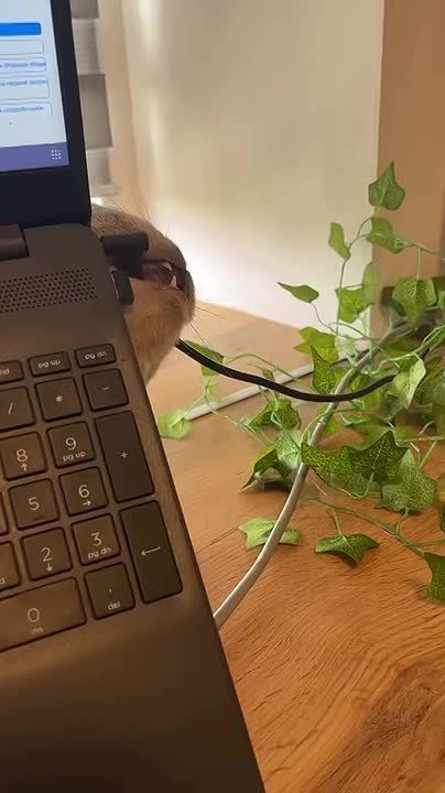 Старт рабочей недели.. Настраиваемся на продуктивный лад! Пусть неделя будет лёгкой, а задачи – выполнимыми