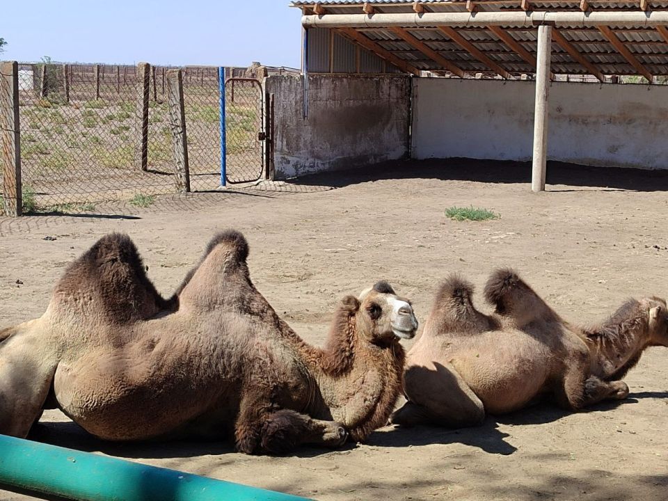 Команды запорожского и херсонского филиалов фонда «Защитники Отечества» продолжают дружить домами Команды запорожского и херсонского филиалов фонда «Защитники Отечества» продолжают дружить домами