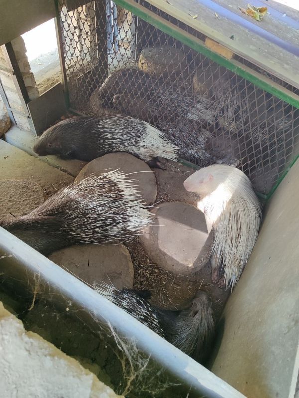 Команды запорожского и херсонского филиалов фонда «Защитники Отечества» продолжают дружить домами Команды запорожского и херсонского филиалов фонда «Защитники Отечества» продолжают дружить домами