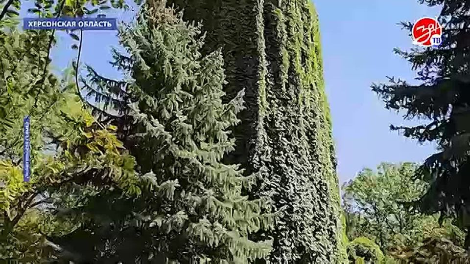 Запорожский филиал фонда «Защитники Отечества» организовал для детей и семей военнослужащих поездку в херсонский заповедник Аскания-Нова