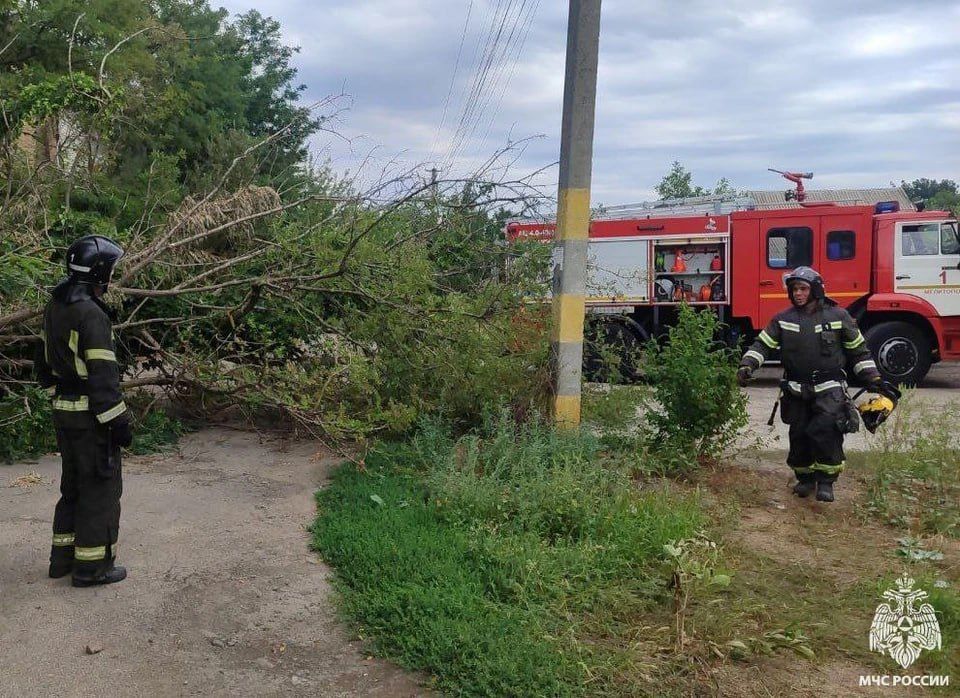 В Мелитополе убрали упавшее на проезжую часть дерево