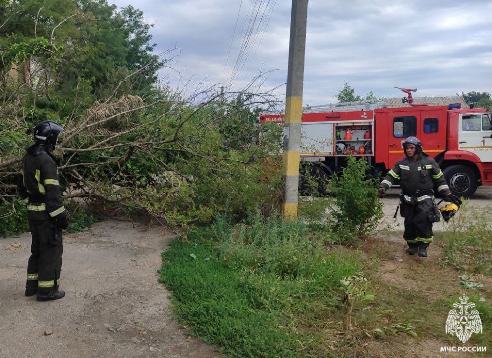 В Мелитополе спасатели МЧС России оперативно убрали упавшее дерево В Мелитополе спасатели МЧС России оперативно убрали упавшее дерево