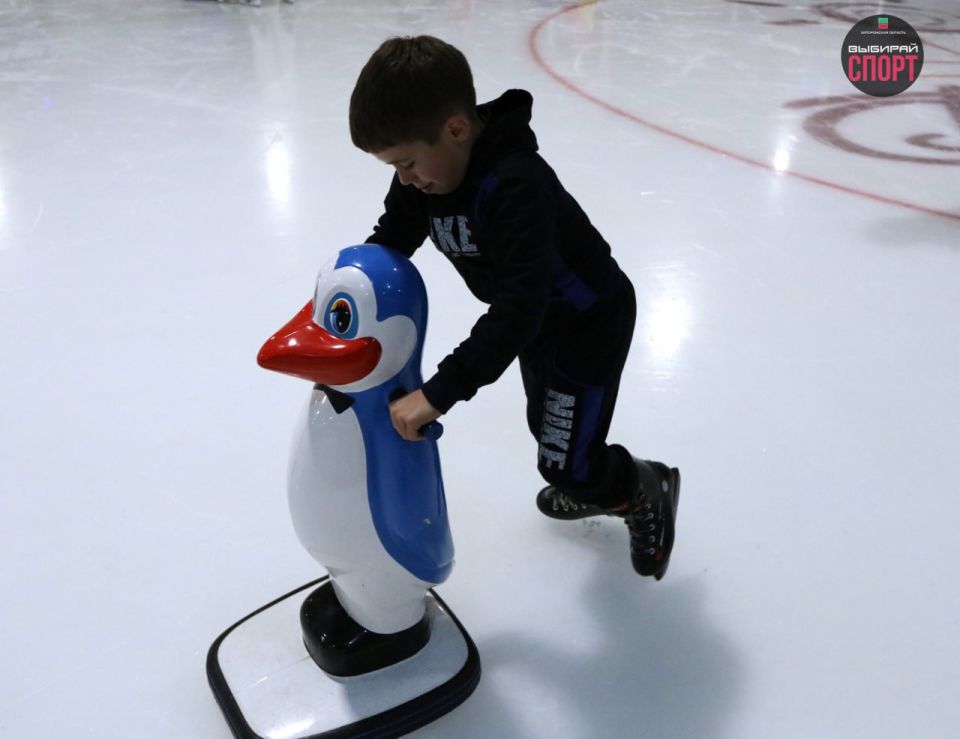 Катание на льду для детей из ГБУ "Мелитопольский областной центр социально-психологической реабилитации детей" Катание на льду для детей из ГБУ "Мелитопольский областной центр социально-психологической реабилитации детей"