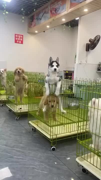 Пятница! Время строить планы на выходные!