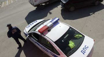 Нелегально — и точка. В Запорожской области выявлена партия продуктов без документов