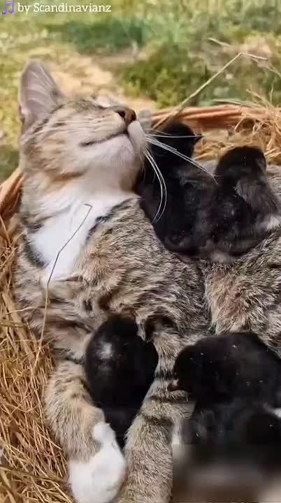 Доброго утра , дорогие Мелитопольцы!