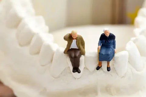 ЛДПР выступила с инициативой расширить льготное зубопротезирование на пенсионеров, инвалидов и многодетные семьи