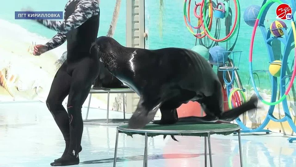 Воспитанники из Мелитопольского областного центра социально-психологической реабилитации детей посетили шоу морских обитателей