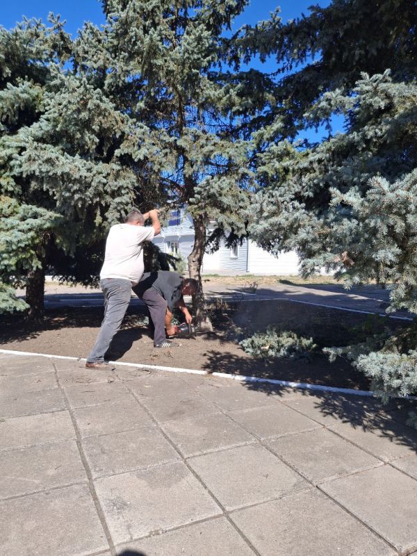 Сотрудники МБУ «Жилсервис» проводят работы по благоустройству территории и формовке деревьев возле административного здания в селе Новониколаевка