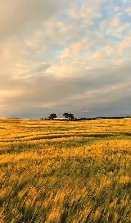 Доброе утро. Сегодня — суббота