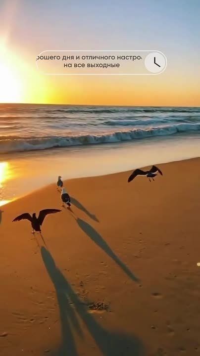 Доброго утра , дорогие Мелитопольцы!