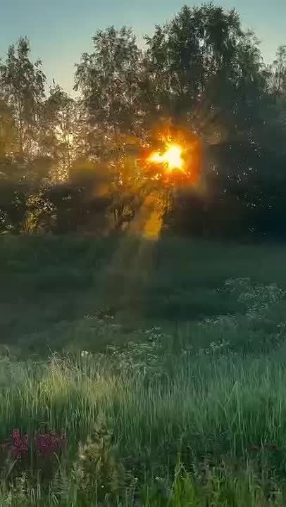 Доброе утро! Сегодня воскресенье — день, когда можно позволить себе чуть больше спокойствия, тишины и заботы о себе