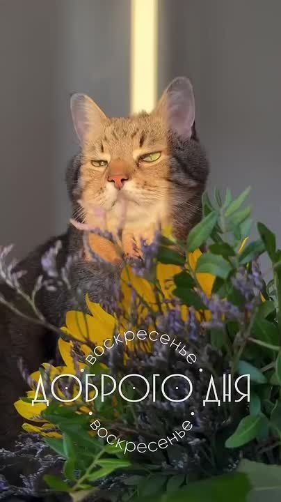 Доброго утра , дорогие Мелитопольцы!